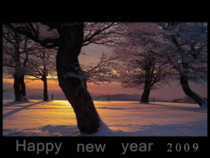2009-happy-new-year